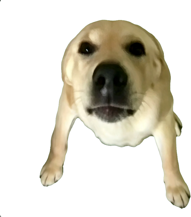 大狗